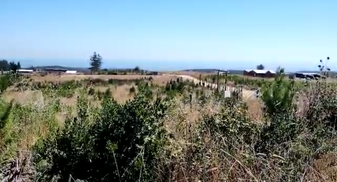 Parcela de 5.000 m2 con vista al mar, Pichilemu